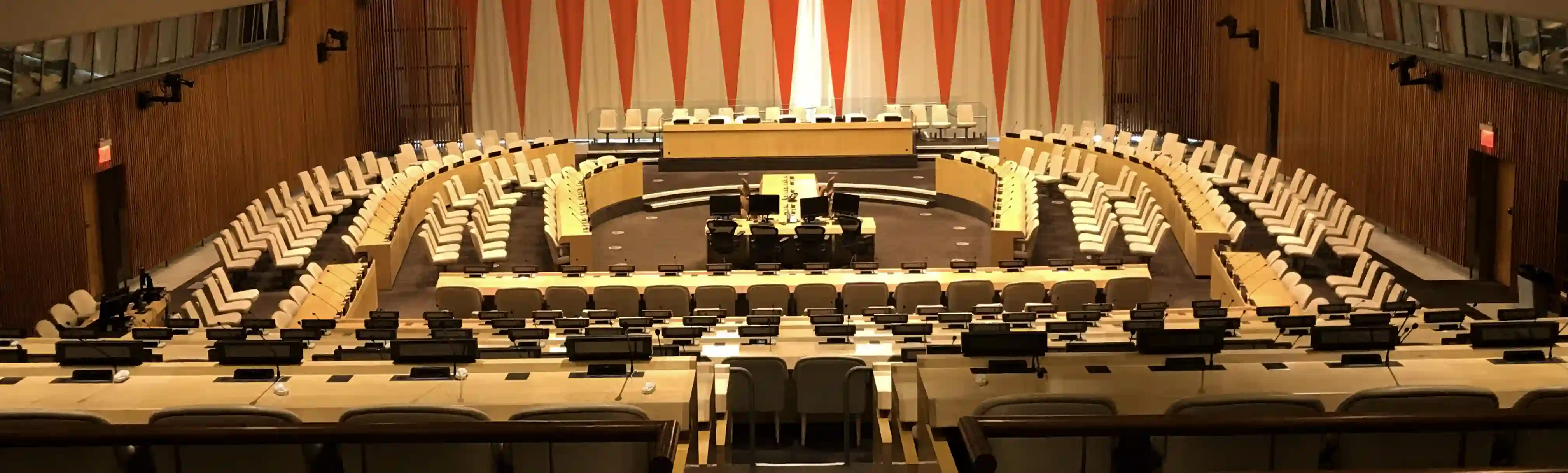 UAN ECOSOC Banner